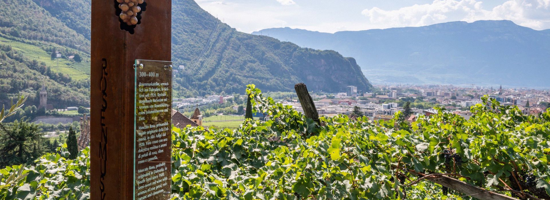 Wine Trail Ritten/Renon ©Tourist Info Ritten_Photo Manuela Tessaro