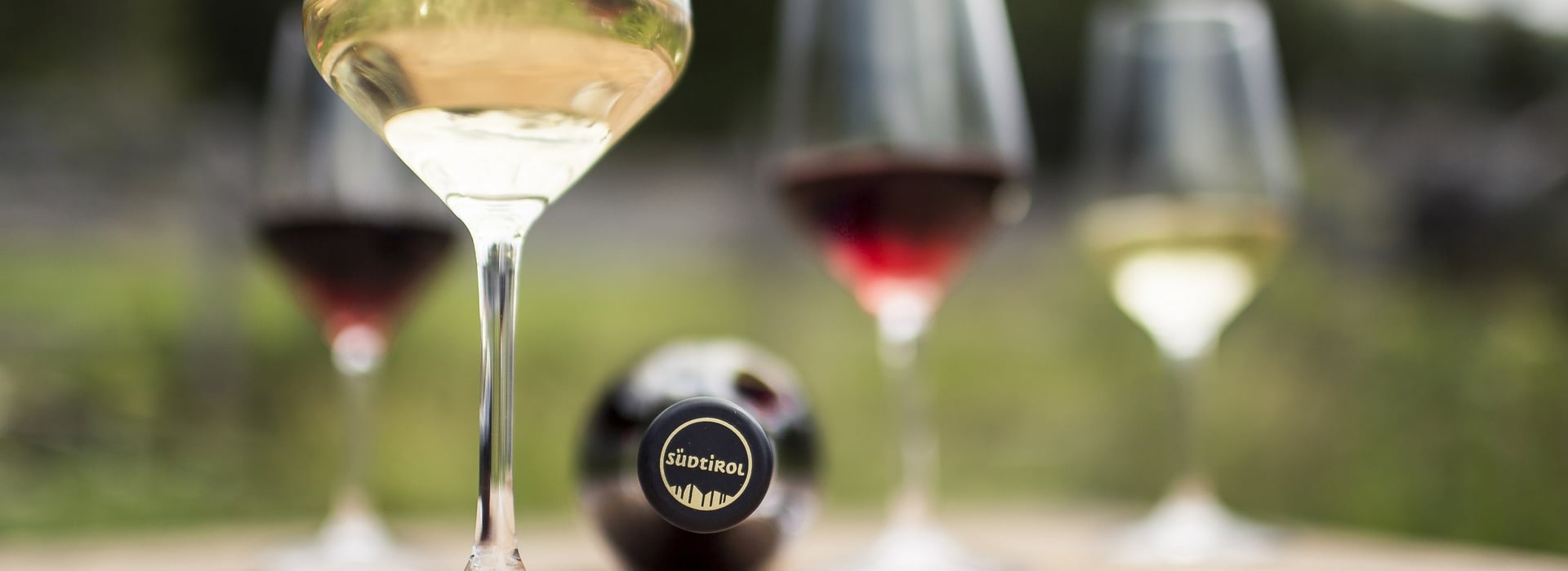 ©Alto Adige Wines/Florian Andergassen