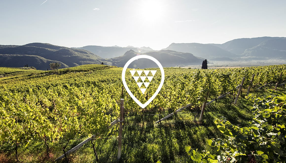 UGA symbol Alto Adige