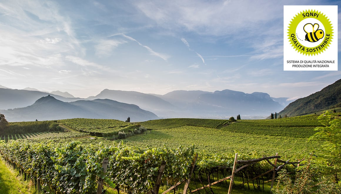 A Commitment, a Certification and a Brand