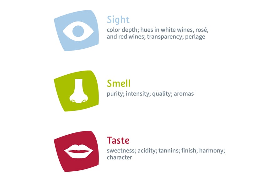 Graphic representation of the three senses: sight, smell, taste.